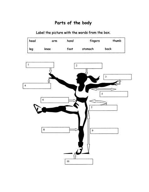 Exercise Body Parts List
