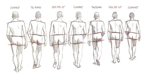 Walk Cycle From The Back View Walking Poses Animation Reference