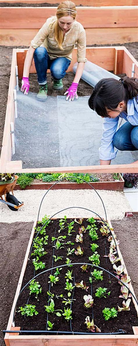 28 Best Diy Raised Bed Gardens Easy To Build Using Inexpensive Simple Materials Gre