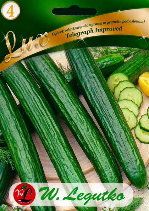 Heirloom Cucumber Telegraph Improved Seeds