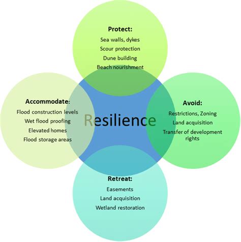 The Para Framework And Resilience—each Of The Four Main Approaches Has