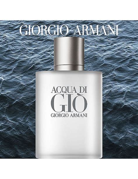 Descubrir 40 Imagen Giorgio Armani Acqua Di Gio Edt 100 Ml Viaterramx