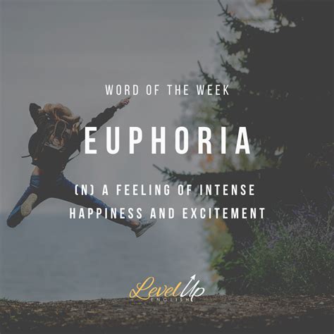 Use Euphoria To Describe A Feeling Of Great Happiness And Well Being