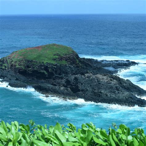 Kilauea Lighthouse Kauai Aktuell Für 2022 Lohnt Es Sich Mit Fotos