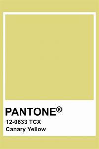 Pantone 39 S Canary Yellow Color Is Shown With The Words 12 083 Tc