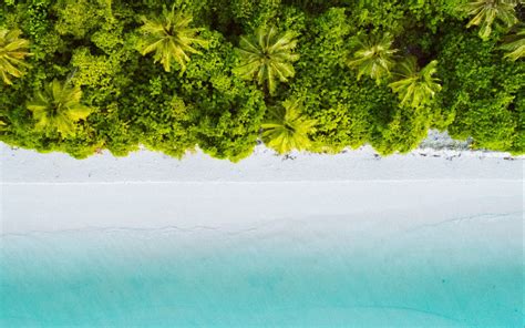 Download Wallpaper 1680x1050 Palm Trees Ocean Aerial View Maldives