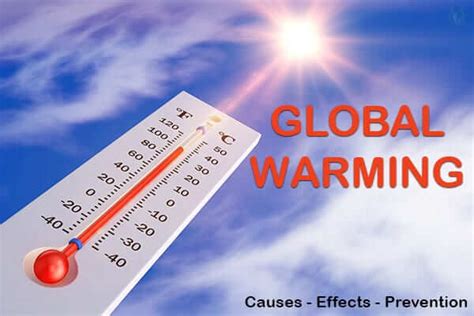 Causes Of Global Warming Essay In English Summary Of Global Warming