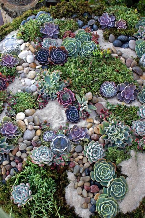 20 Indoor Succulent Rock Garden