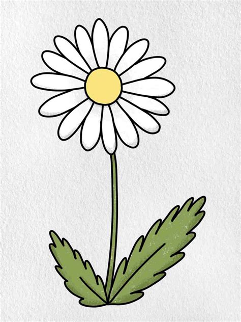 How To Draw A Daisy Flower Helloartsy