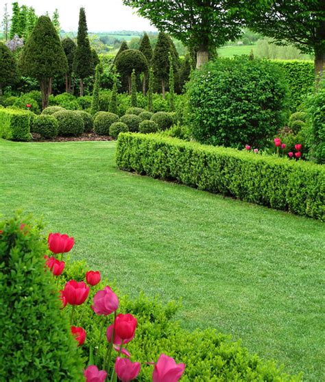 Gardening Hedge Ideas 41 Incredible Garden Hedge Ideas For Your Yard