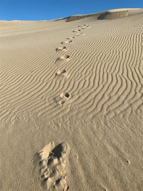 Footprints On The Sand · Free Stock Photo
