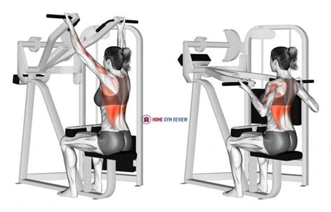 Reverse Grip Machine Lat Pulldown Female Home Gym Review