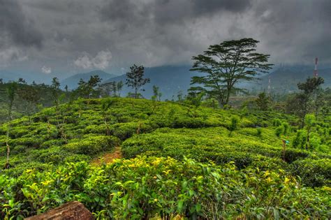 Tropics Scenery Sky Sri Lanka Nature Wallpaper Nature And Landscape