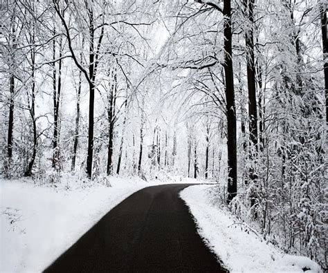 Long And Winding Road Forest Snow Black White Road Trees Winter