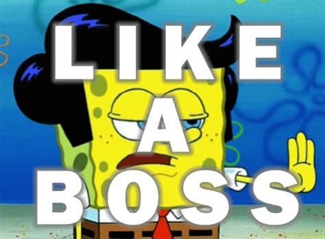 Spongebob Boss  Find And Share On Giphy