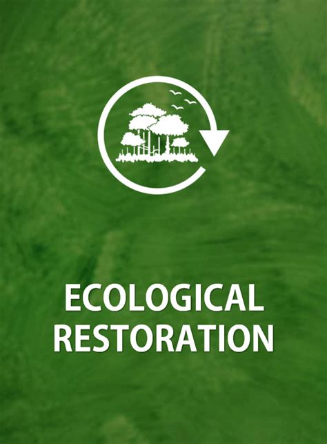 Ecological Restoration Nature India Nursery