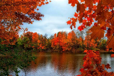 Photo Leaf Autumn Nature River Trees Seasons