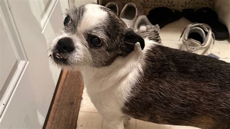 Fundraiser by Ana Sanchez : Buttons needs an MRI