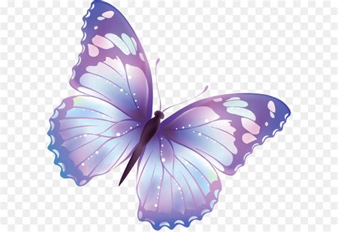 Papillon Violet Couleur Png Papillon Violet Couleur Transparentes