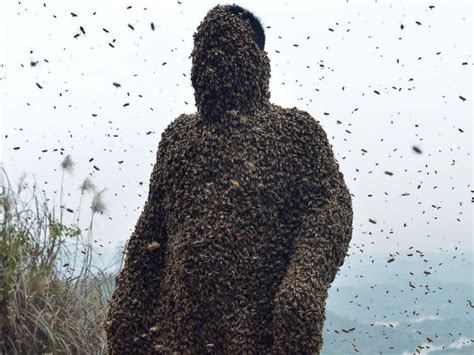 Bee Suit Bee Keeping Bee