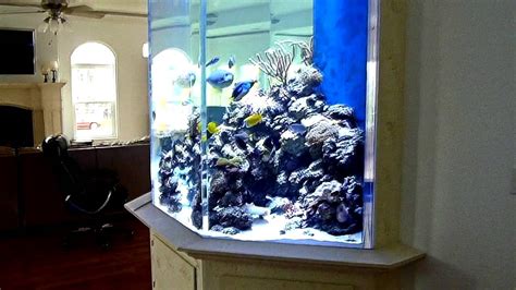 Huge Fish Tank Custom 1500 Gallon Coral Reef Aquarium Youtube