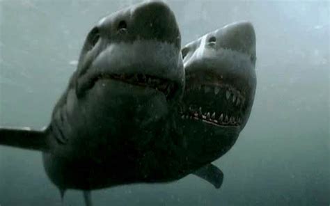 2 Headed Shark Attack Anche In Streaming Cielo Tv