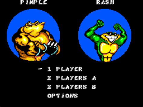 Battletoads In Battlemaniacs Gallery Screenshots Covers Titles And