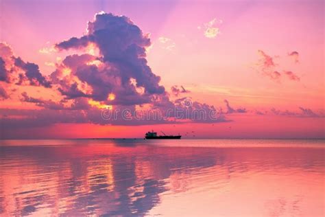 Rose Sunset Over Sea Stock Photo Image Of Evening Horizon 29808840