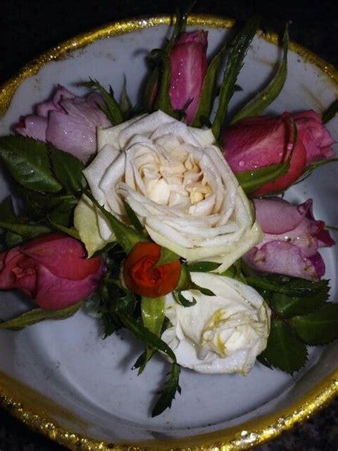 From My Own Rose Garden Rose Garden Food Vegetables