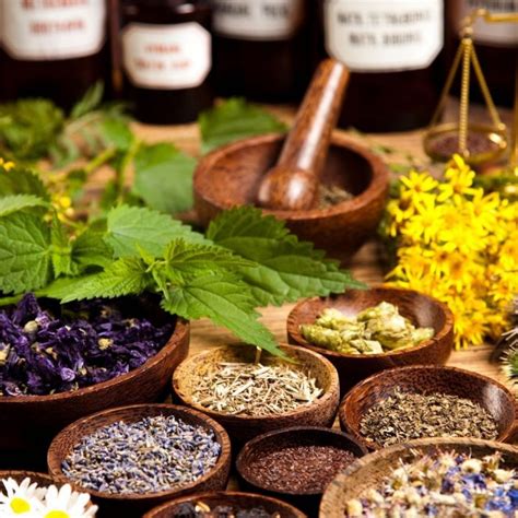 Best Herbs For Stress Reduction And Anxiety Relief Gardensall