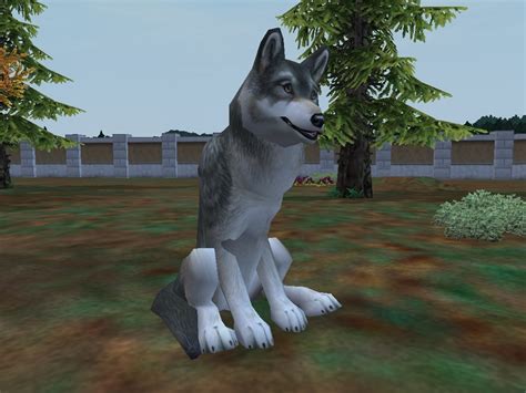 Gray Wolf Zoo Tycoon 2 Wikia Fandom