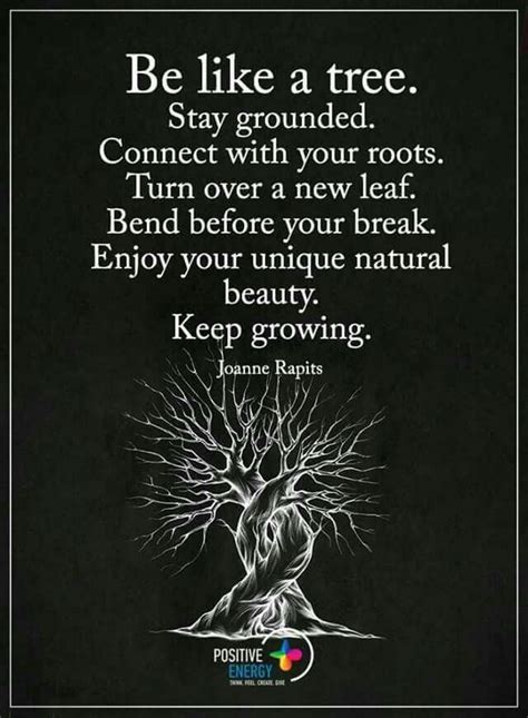 Be Like A Tree Stay Grounded Connect With Your Roots Turn Over A