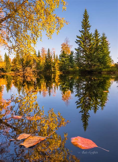 On Golden Pond 10 Picture Autumn Trees Nature Travel Amazing Nature