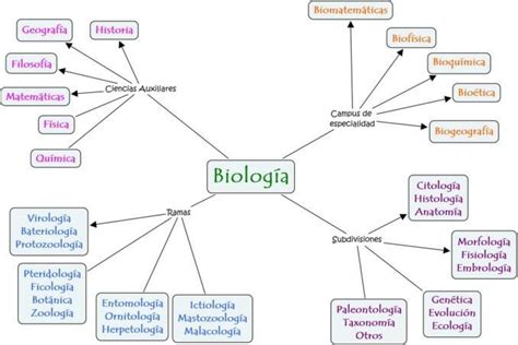 Elabora Un Mapa Conceptual De Rama De La Biologia Brainlylat