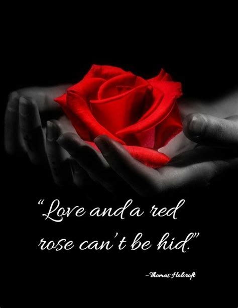 35 Romantic Rose Quotes And Sayings To Show You Care Rose Love Quotes