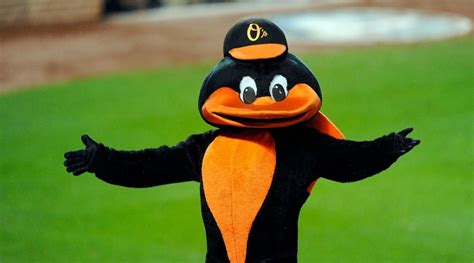 Whats Up Love The Mascot Oriole Bird Orioles Oriole Bird Emoji