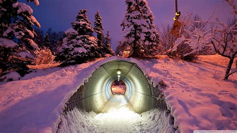 Snow Tunnel Winter Tunnel Lights Snow Trees Hd Wallpaper Pxfuel
