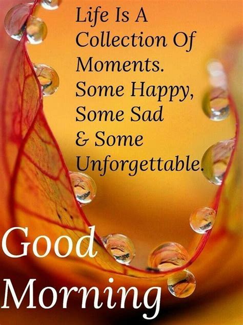 57 of the Good Morning Quotes And Images Positive Energy for Good