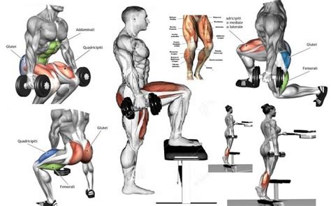 Once warmed up, avoid making these common mistakes when working out with the leg adduction/leg abduction gym equipment: Great Legs Routine Using Dumbbells - VALENTIN BOSIOC