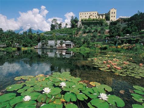 Seit 16 jahren präsentieren die gärten von schloss trauttmansdorff bei meran auf 12 hektar über 80 gartenlandschaften aus aller welt mit zahlreichen einzigartigen erlebnisstationen, einer spektakulären aussichtsplattform von matteo thun, einer „botanischen unterwelt und einem „garten für verliebte. Die Gärten von Schloss Trautmansdorff - Astor Hotel ...