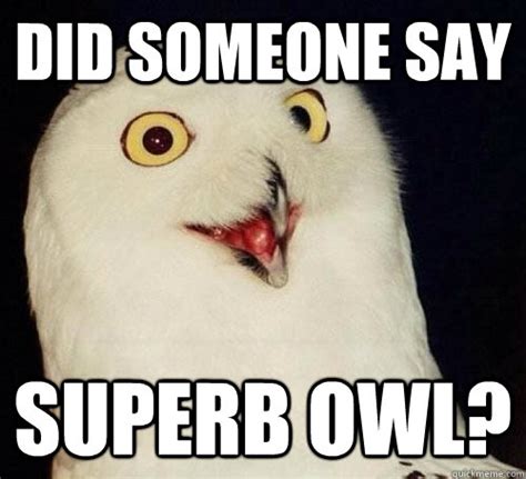 Superb Owl Memes Quickmeme