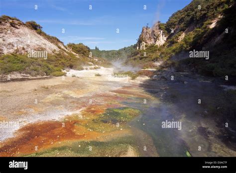 Waimangu Volcanic Valley North Island New Zealand Stock Photo Alamy