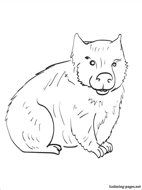 Wombat Coloring Download Wombat Coloring For Free 2019