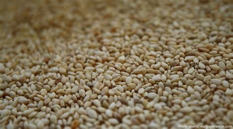 Interesting Facts About Sesame Just Fun Facts