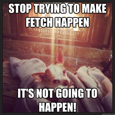 stop trying to make fetch happen it s not going to happen misc quickmeme