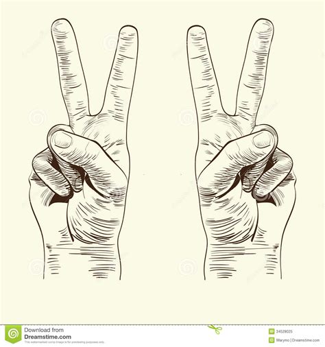 Left And Right Hands With Victory Sign Stock Vector Illustration Of