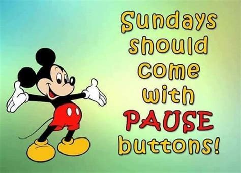 Sundays Should Come With Pause Buttons Sunday Funny Sunday Quotes