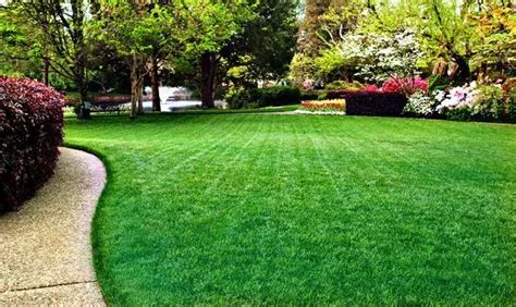 A Proven Process To Create A Beautiful Green Lawn In Colorado