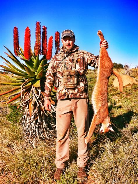 South Africa Bowhunt Steve Hunt With Lj Safaris