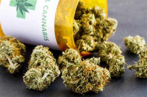 I can't thank you enough for all your help. How To Get A Medical Marijuana Card In Nevada - Shango